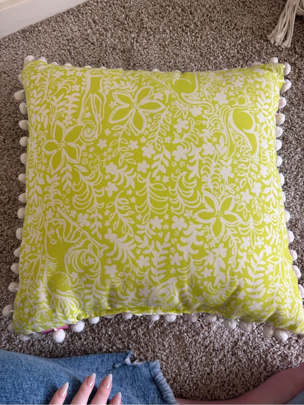Lilly Pulitzer for Target Throw Pillow “Nosey Posey” Set ☀️